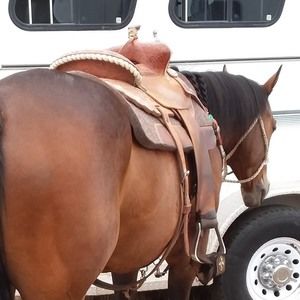 Meet your Posher, Bill